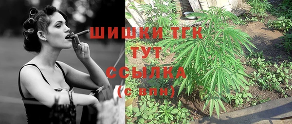 гидра Гусь-Хрустальный