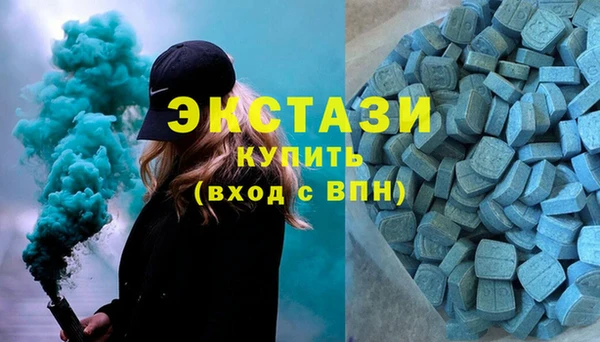 гидра Гусь-Хрустальный