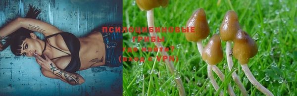 гидра Гусь-Хрустальный
